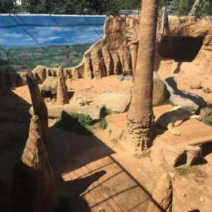 Malá zoo a adventure minigolf v Plasech - okres Plzeň-sever