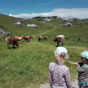Slovinsko s dětmi - 7 dní v horách mezi Lublaní a Rakouskem