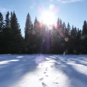 Naučná stezka Nelesní krajina v zimě - Kvilda Šumava
