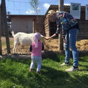 Farma Klínec s hospůdkou, farmářským obchůdkem i dětskými hřišti - Praha západ