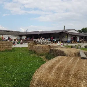 Zlatá farma Štětovice - okres Prostějov