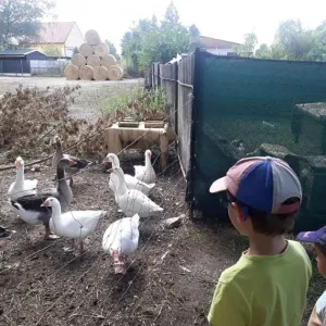 Farma Apolenka - okres Pardubice