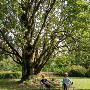 Arboretum Nový Dvůr a rozhledna Šibenice - okres Opava