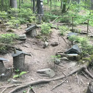 Lesní skřítci u pramene Libušinka - okres Rychnov nad Kněžnou