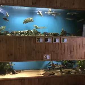 Rybí dům Chotěbuz - okres Karviná