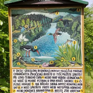 Pavlínino údolí - České Švýcarsko