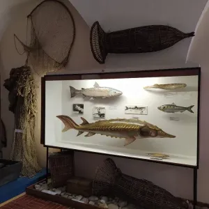 Muzeum lesnictví, myslivosti a rybářství - zámek Ohrada, Hluboká nad Vltavou - okres České Budějovice