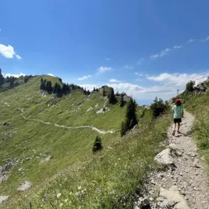 Úžasné švýcarské Alpy s dětmi - oblast Jungfrau