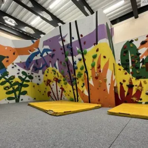 Lezecká stěna pro děti ve Sport park Jungle - Praha Letňany