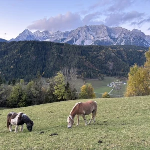 Kouzelné horské apartmány Vom Reiter Schladming - Rakousko