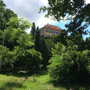 Královská obora Stromovka - Praha 7