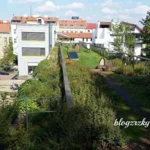 Otevřená zahrada - kam s dětmi v Brně