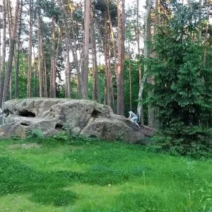 Les lesních bytostí Doksy - okres Česká Lípa