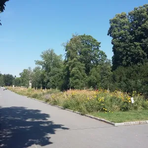Park a botanická zahrada Smetanovy sady - Olomouc