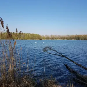 Ornitologická pozorovatelna a procházka kolem jezera - Chomoutov u Olomouce