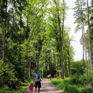 Přírodní rezervace Červené blato - výlet s dětmi Třeboňsko