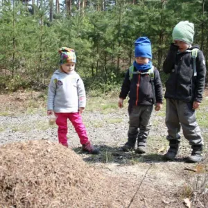 Dva výlety s dětmi na Toulovcovy Maštale - okres Chrudim