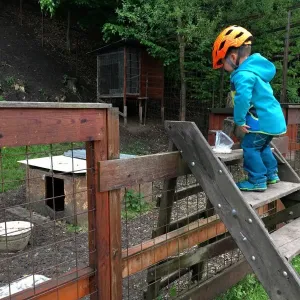 Minizoo a dětské hřiště Zrcadlová koza - Dolánky u Turnova