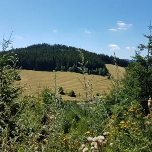 Hraběcí stezka u Králík - okres Ústí nad Orlicí
